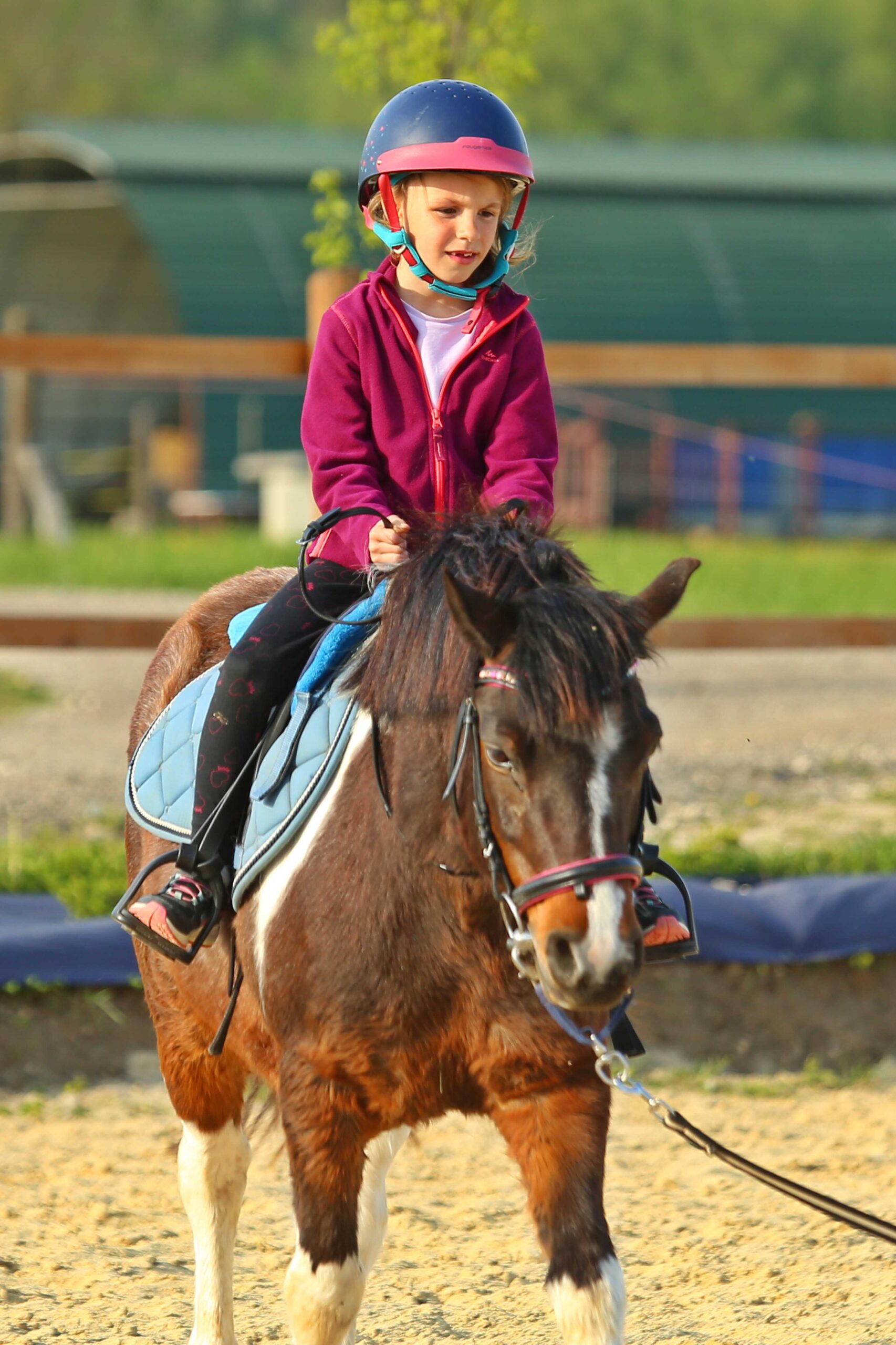 Főoldal wagner lovas farm edzes gyerek