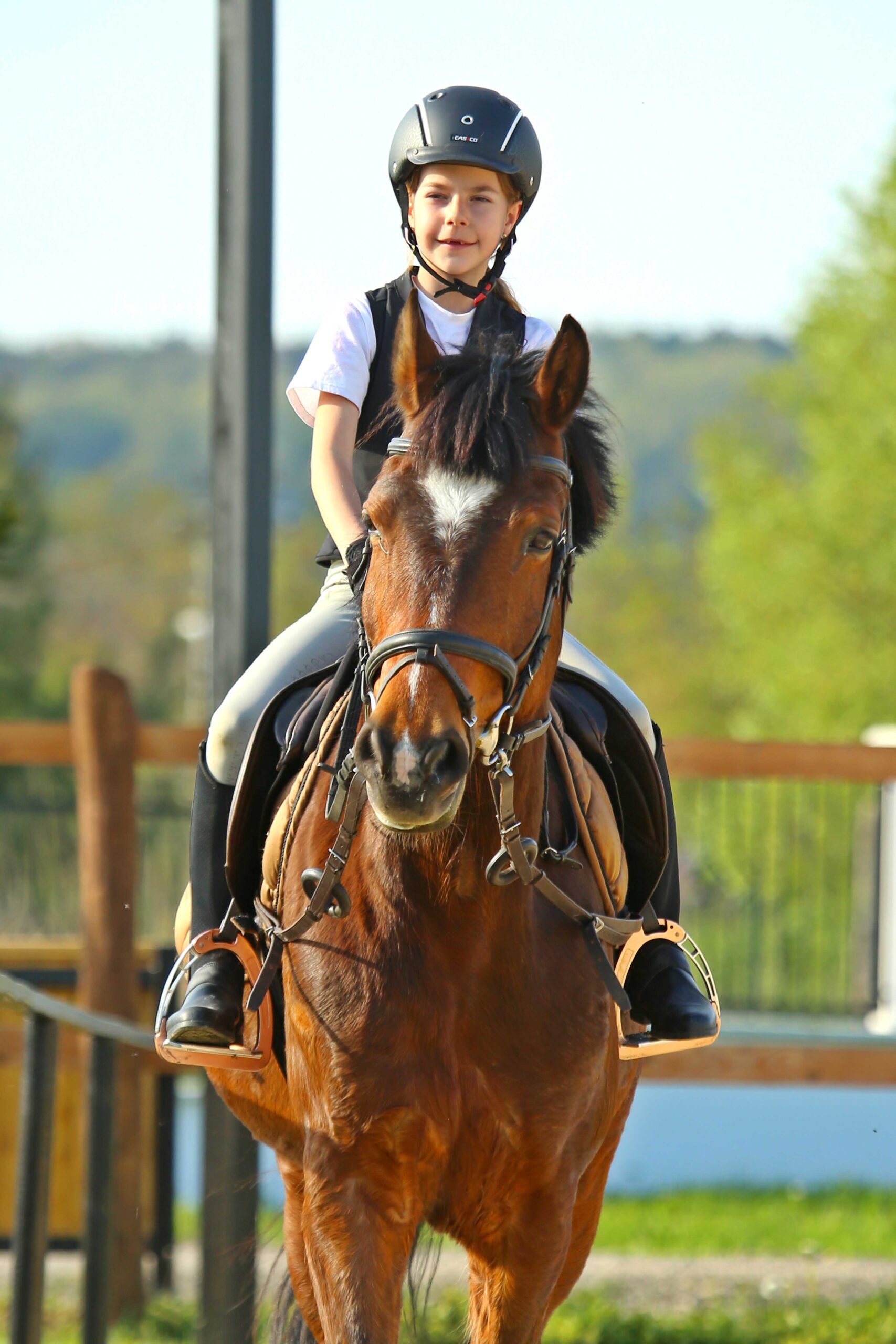 Főoldal wagner lovas farm edzes