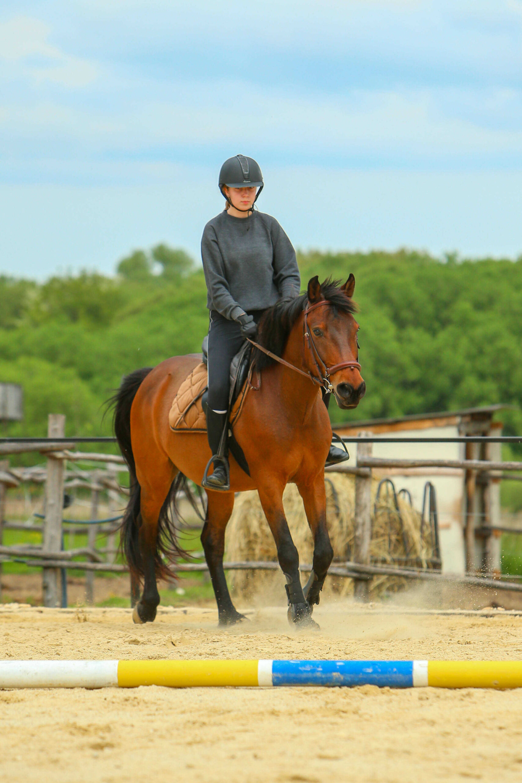 wagner lovas farm felnott edzes