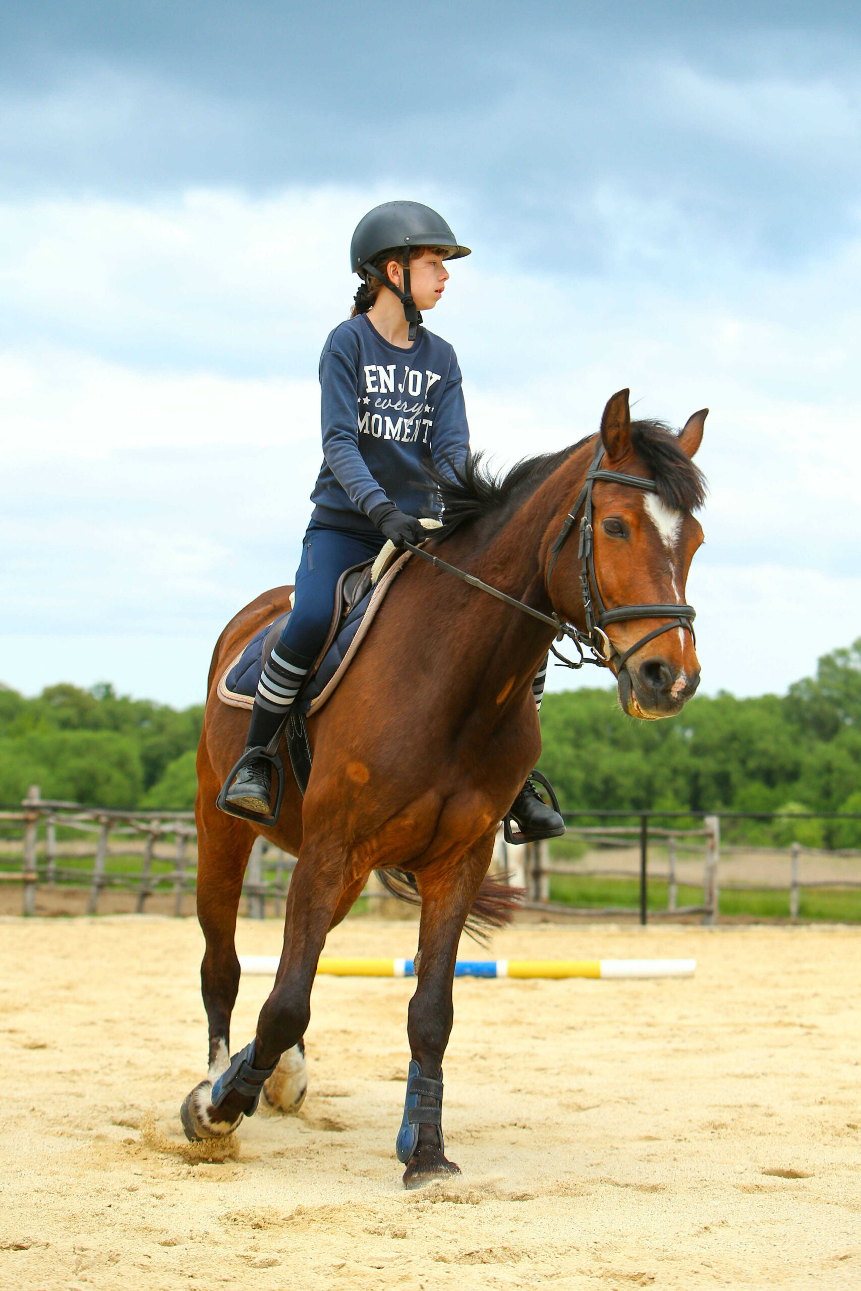 wagner lovas farm gyerek oktatas