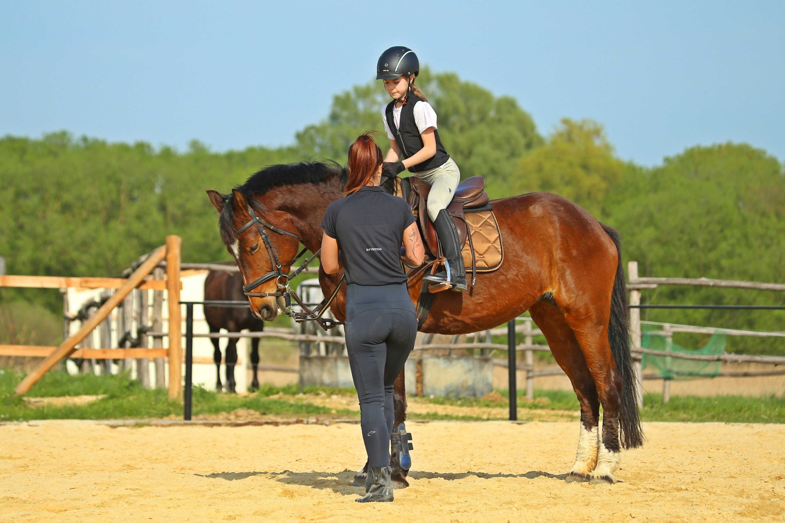 Főoldal wagner lovas farm gyerekeknek oktatas