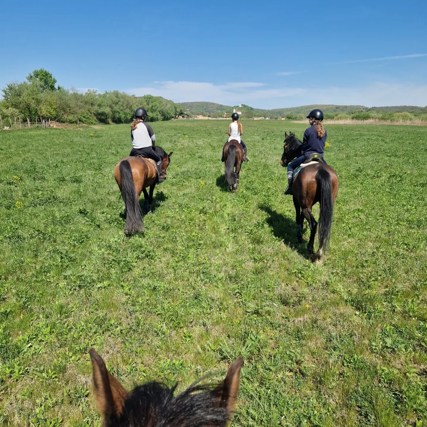 Lovas túrák wagner lovas farm lovas turak bakonyban
