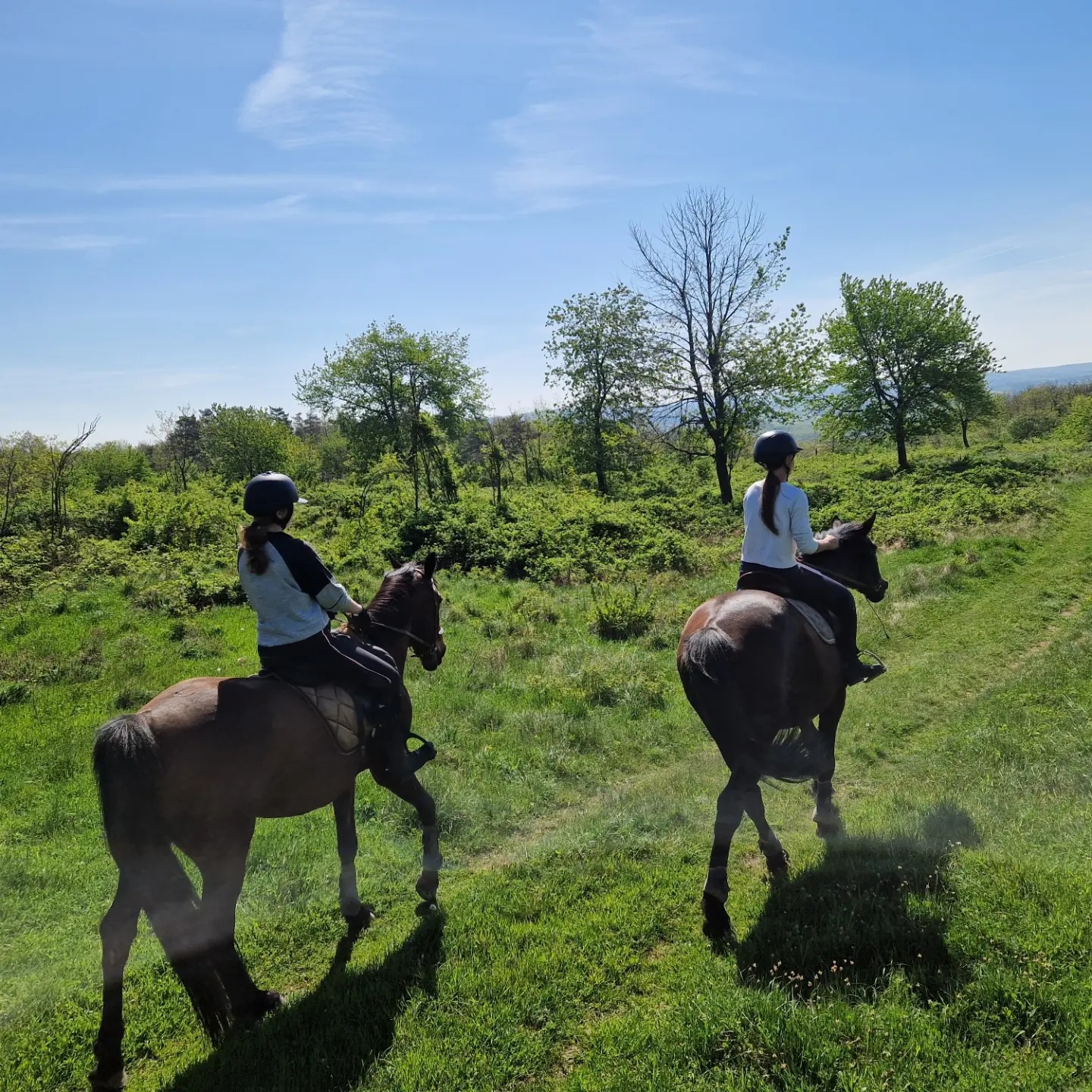 Lovas túrák wagner lovas farm lovas turak