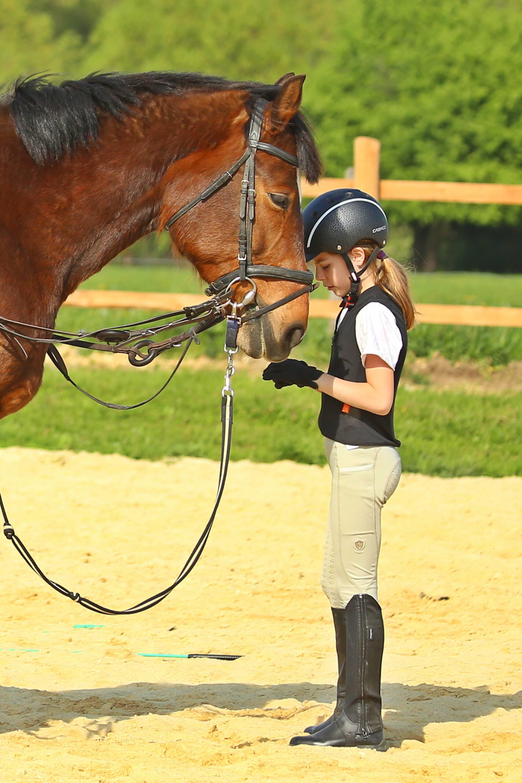 Főoldal wagner lovas farm luca lo