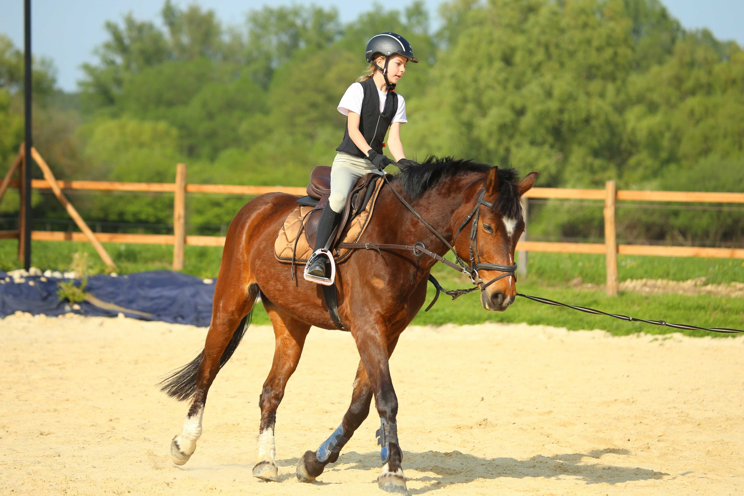 Főoldal wagner lovas farm luca