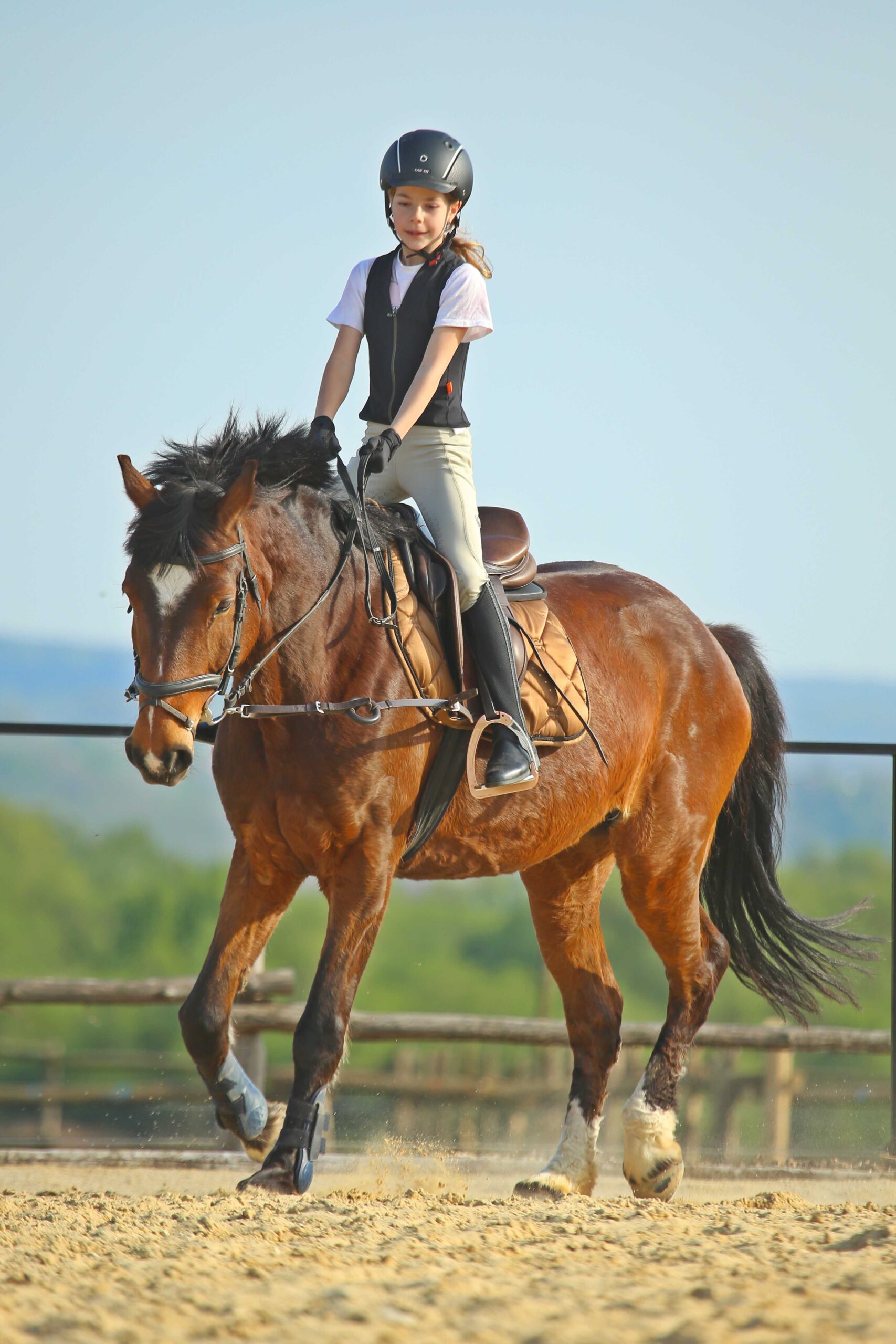 Főoldal wagner lovas farm oktatas gyerek