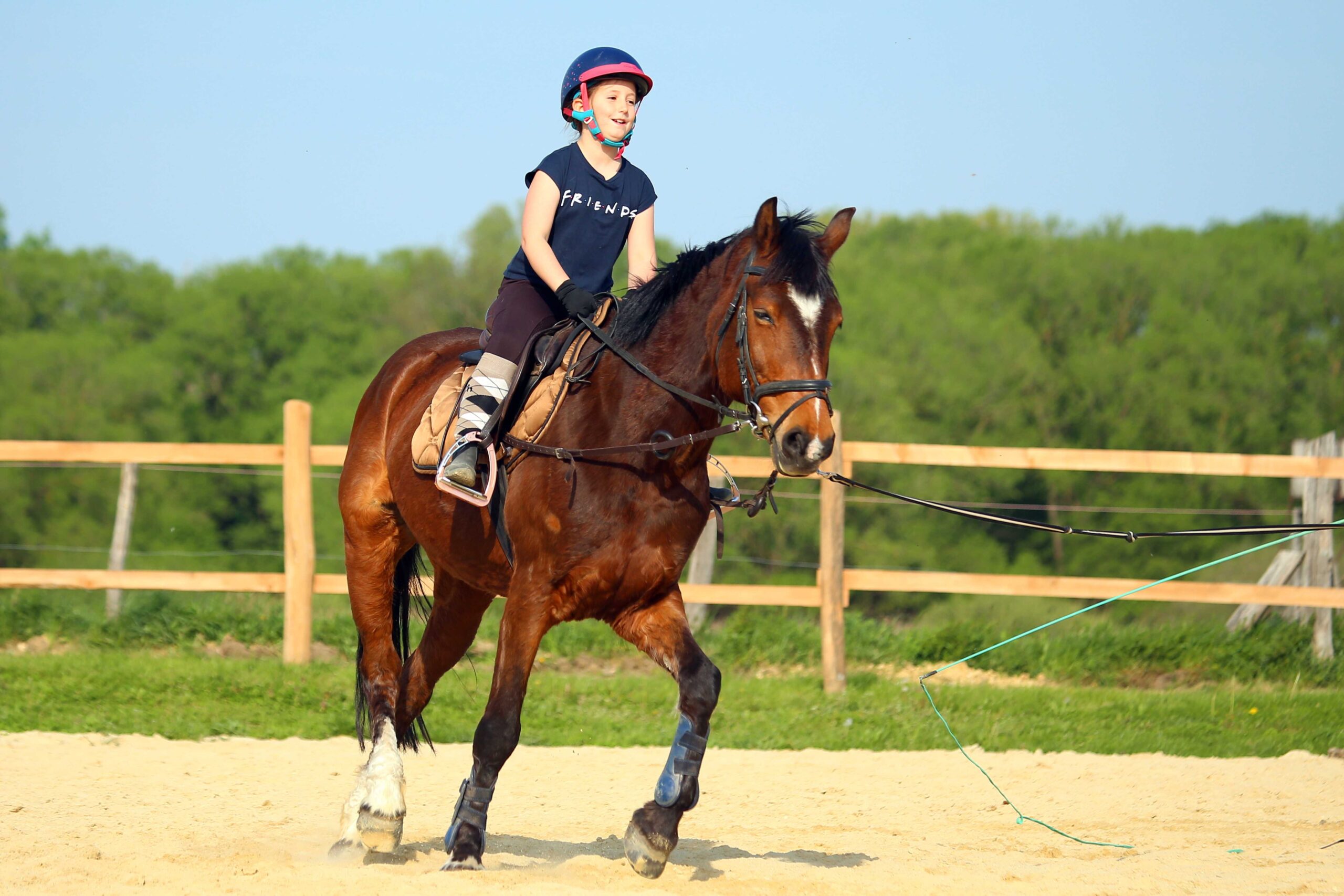 Főoldal wagner lovas farm oktatas gyerekeknek