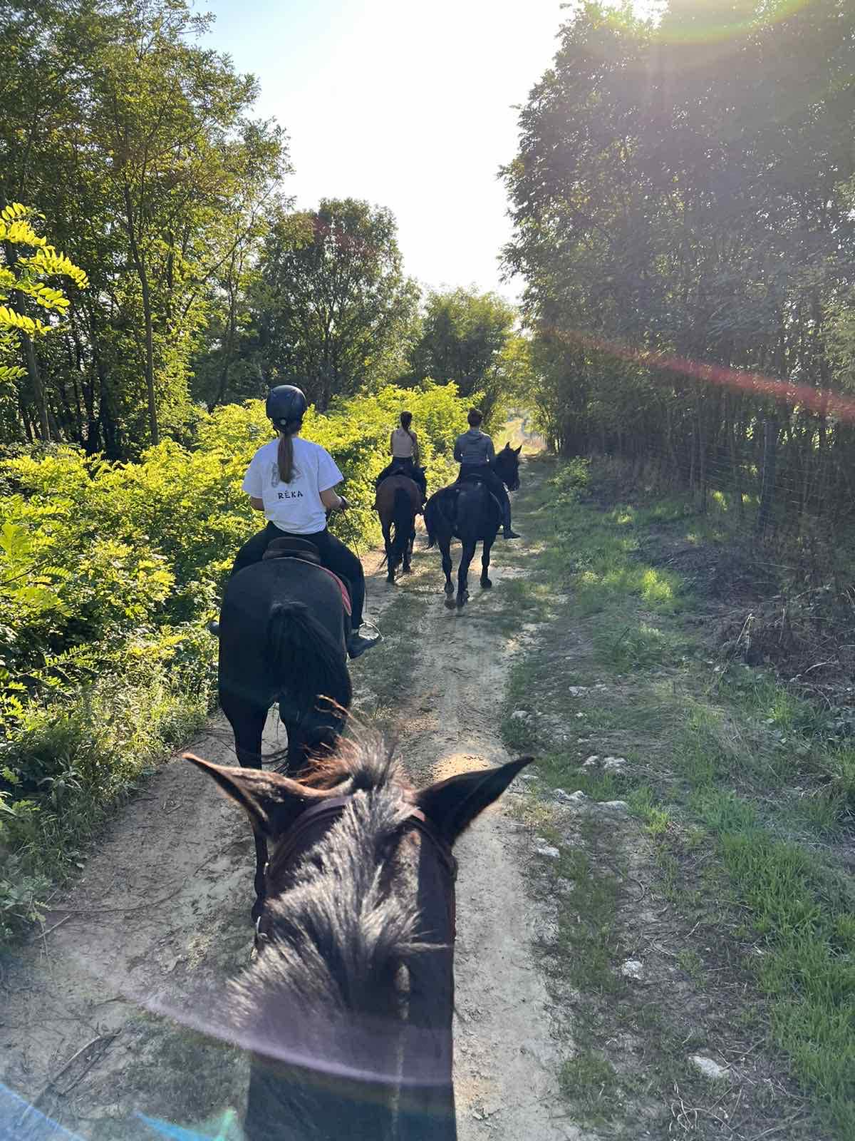 Lovas túrák wagner lovas turak (1)