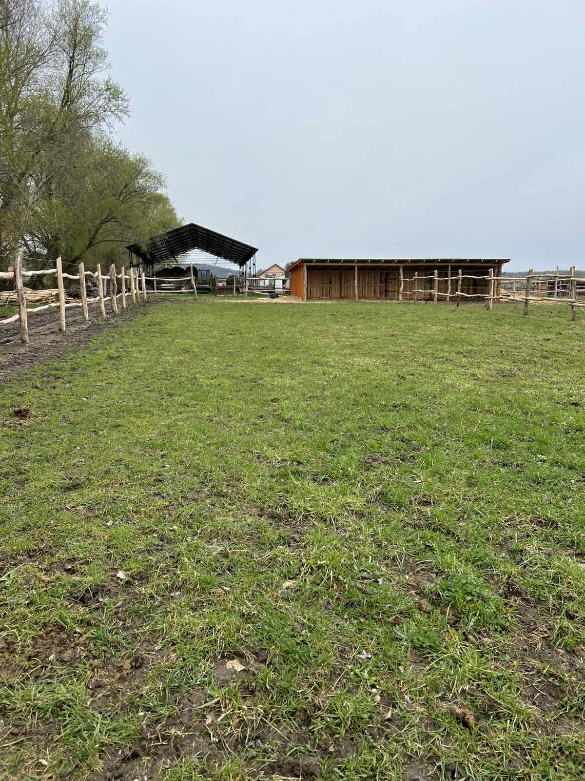 Főoldal wagner lovas turak (10)