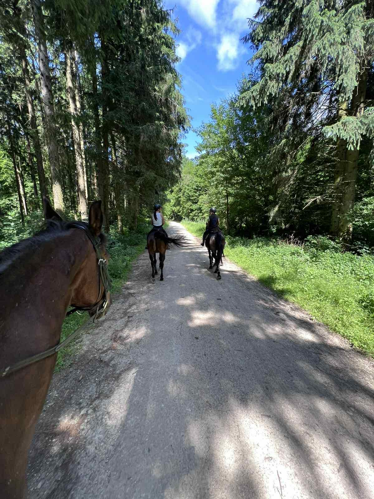Lovas túrák wagner lovas turak (11)