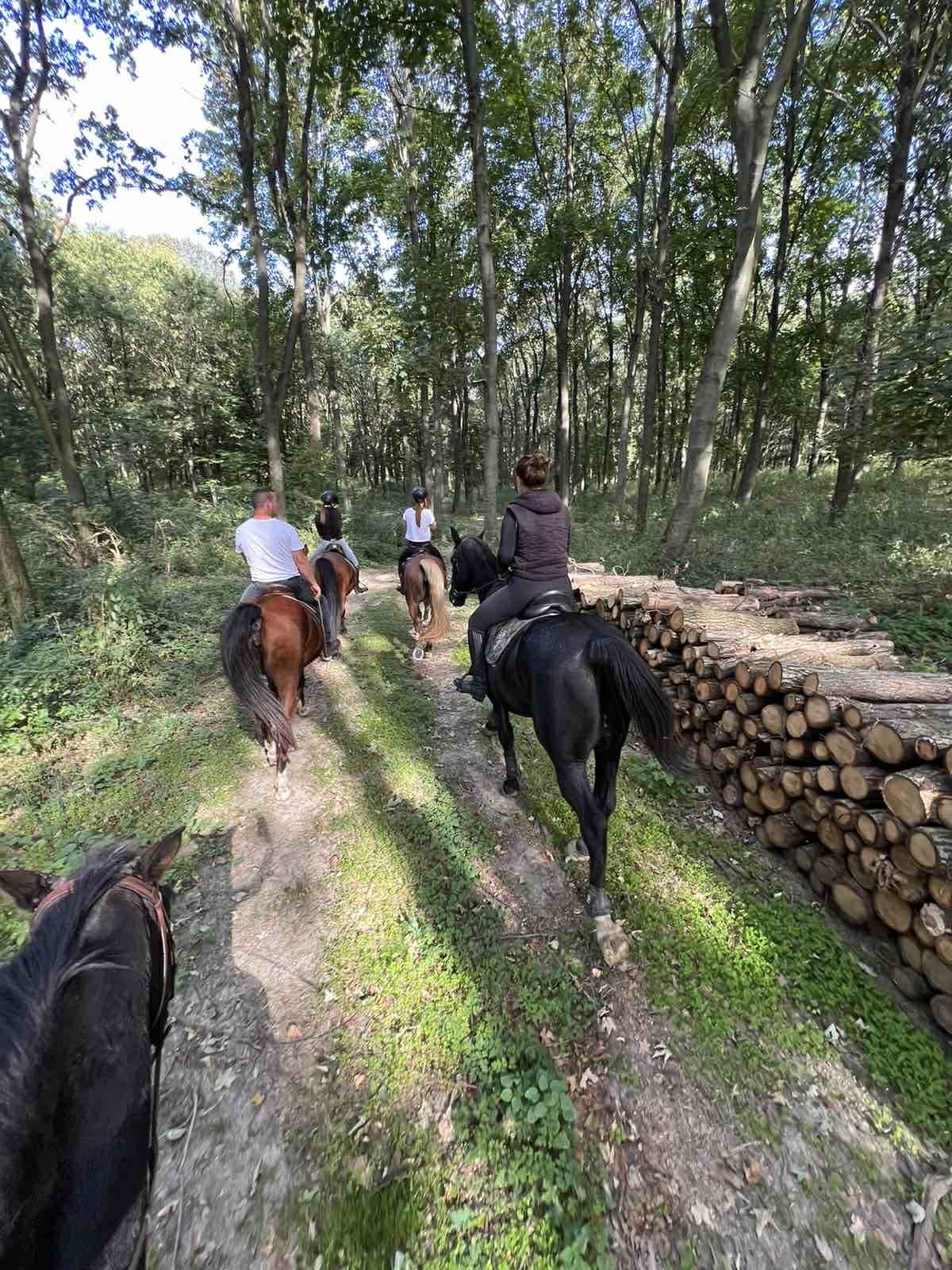 Lovas túrák wagner lovas turak (14)