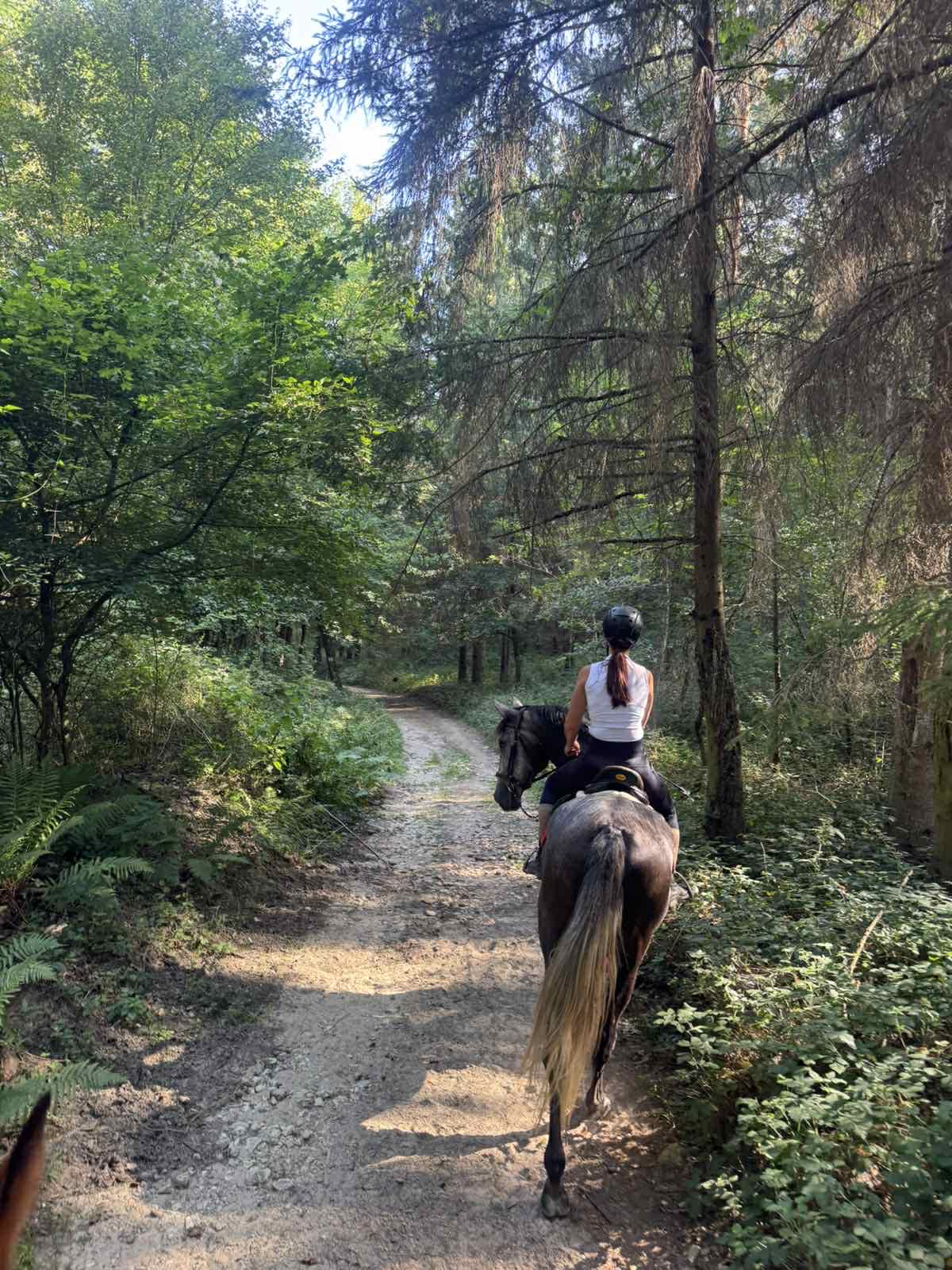 Lovas túrák wagner lovas turak (16)