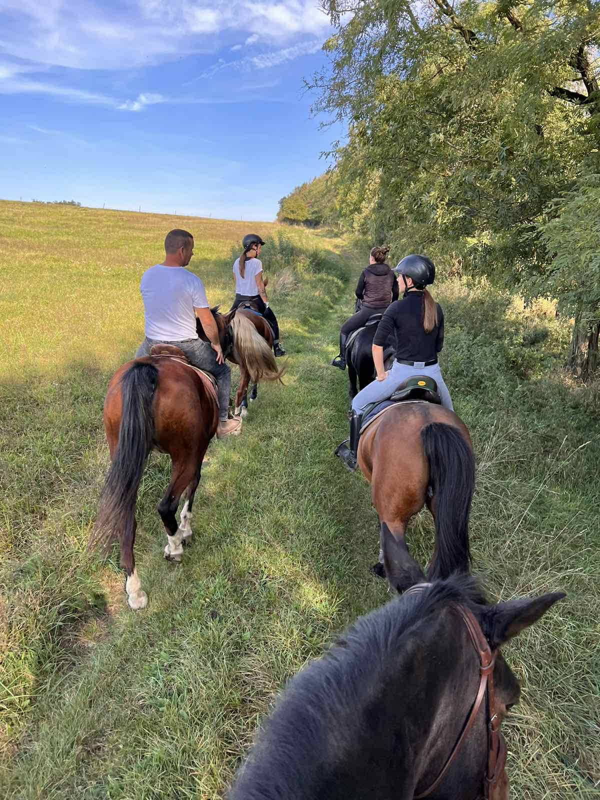 Lovas túrák wagner lovas turak (17)