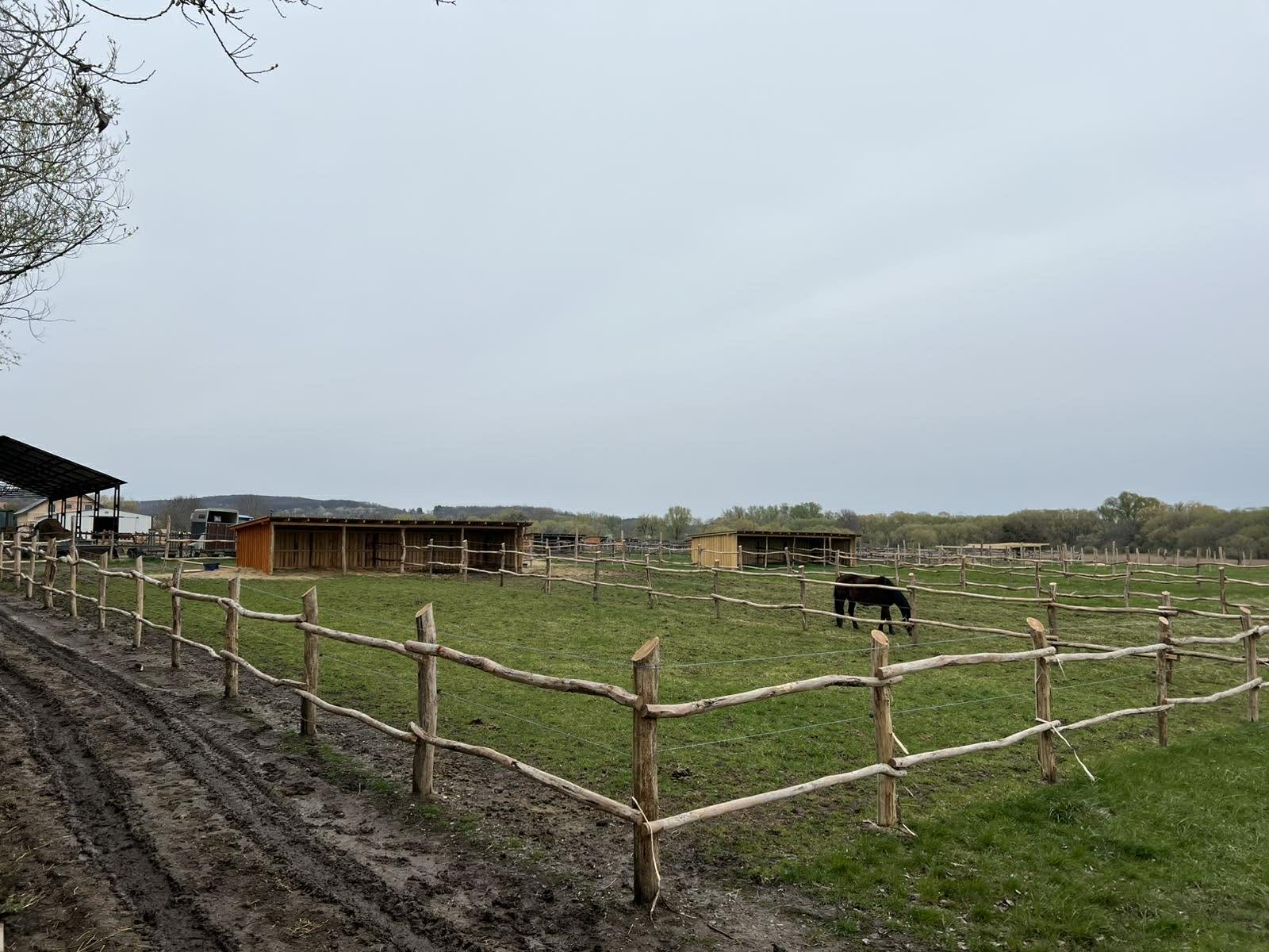 Főoldal wagner lovas turak (18)