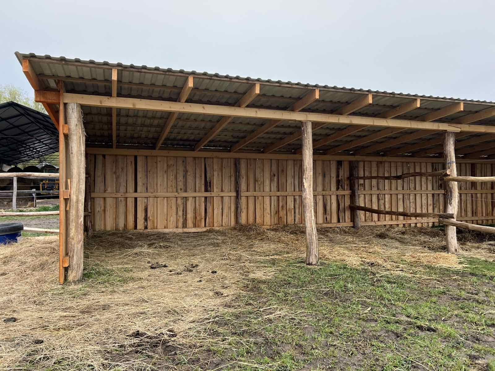 Főoldal wagner lovas turak (20)