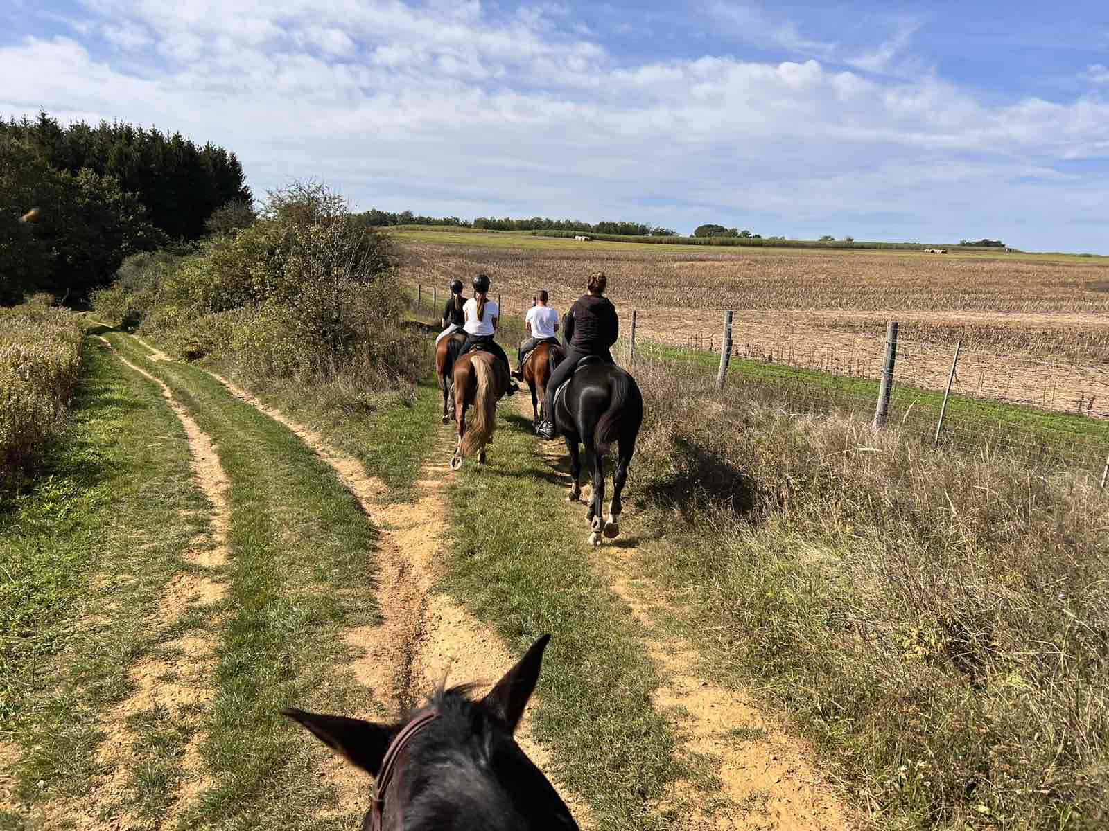 Lovas túrák wagner lovas turak (21)