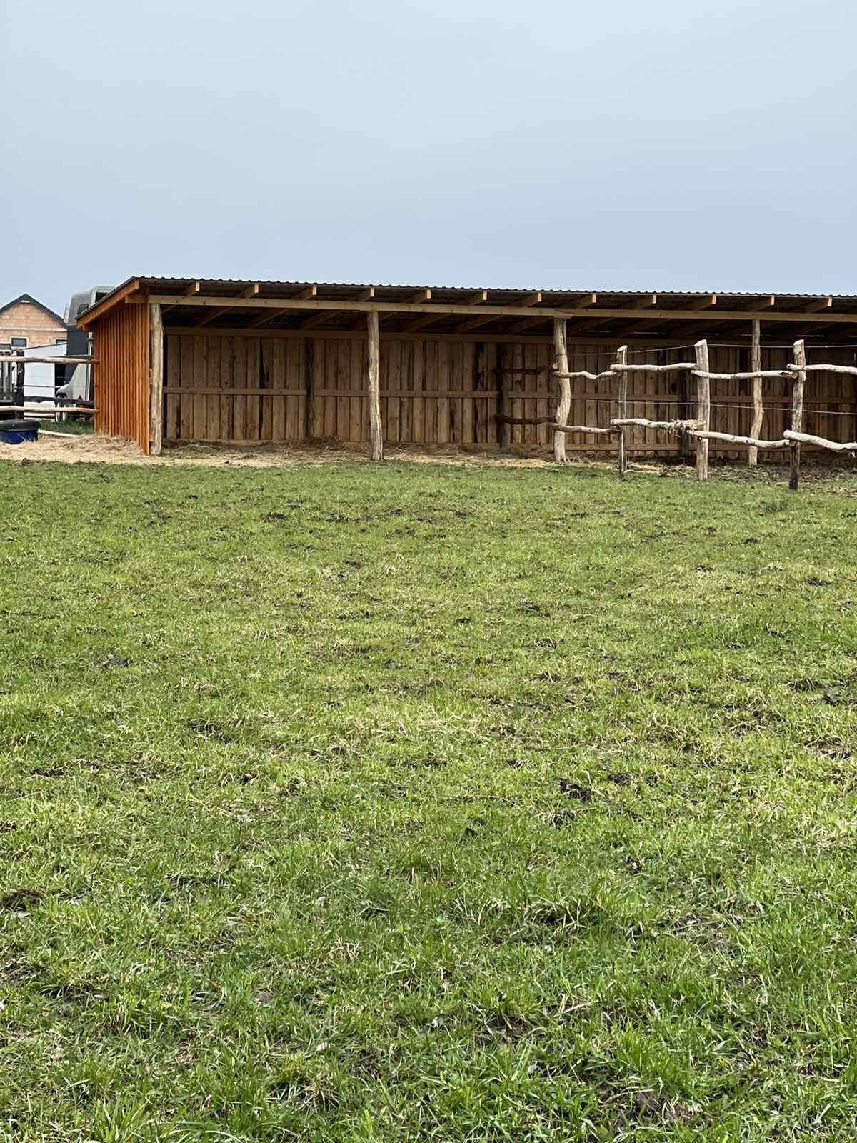 Főoldal wagner lovas turak (23)