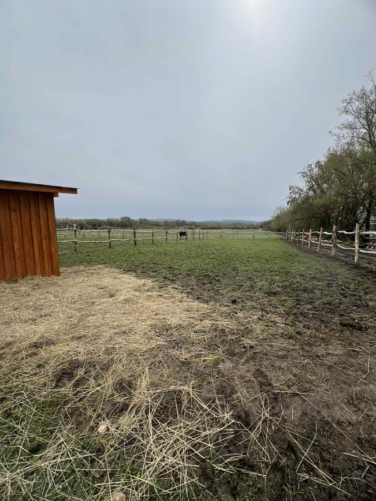 Főoldal wagner lovas turak (25)