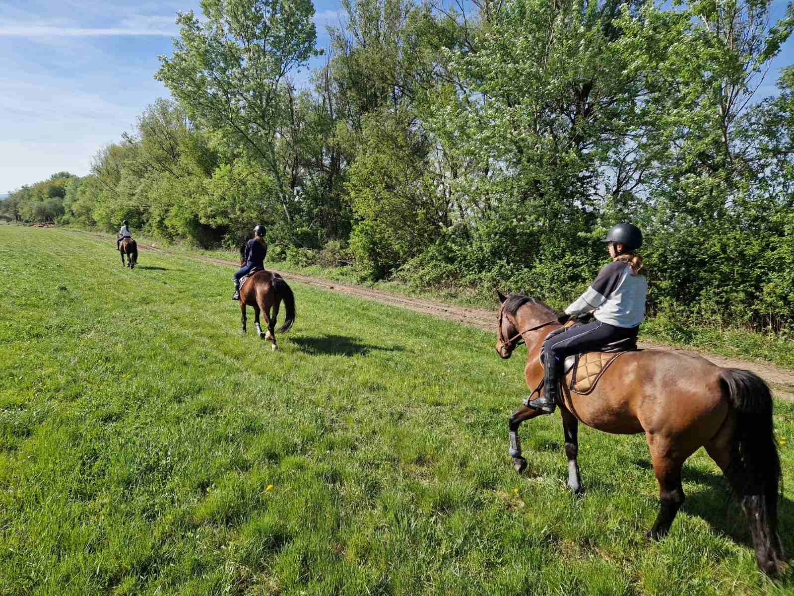Lovas túrák wagner lovas turak (27)
