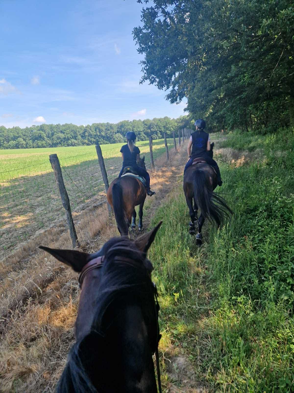 Lovas túrák wagner lovas turak (4)