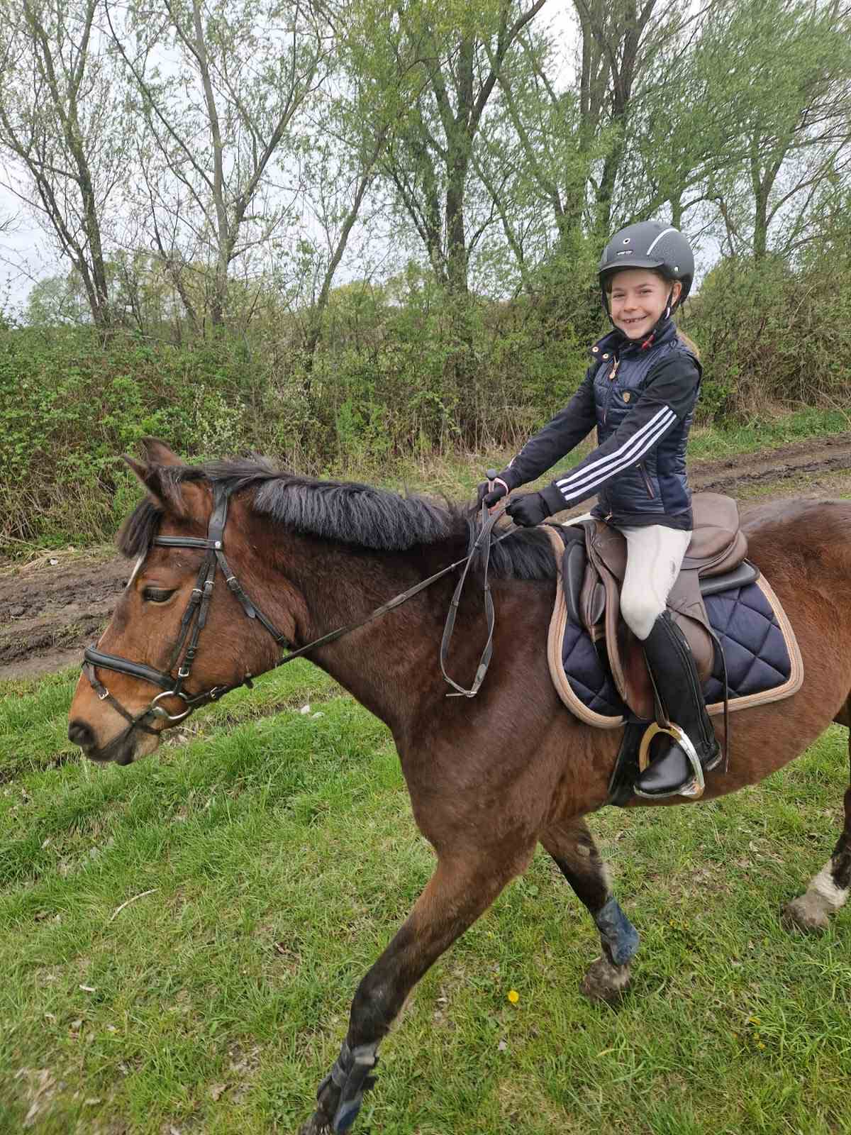 Lovas túrák wagner lovas turak (6)