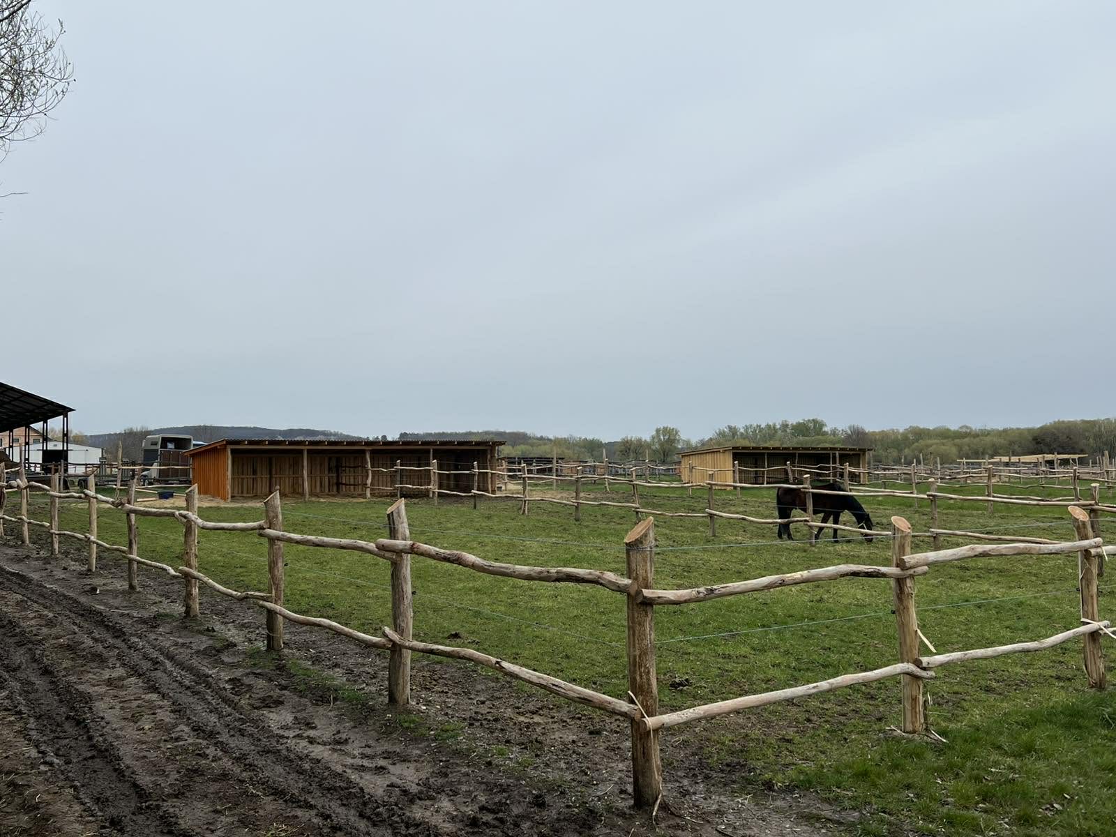 Főoldal wagner lovas turak (7)