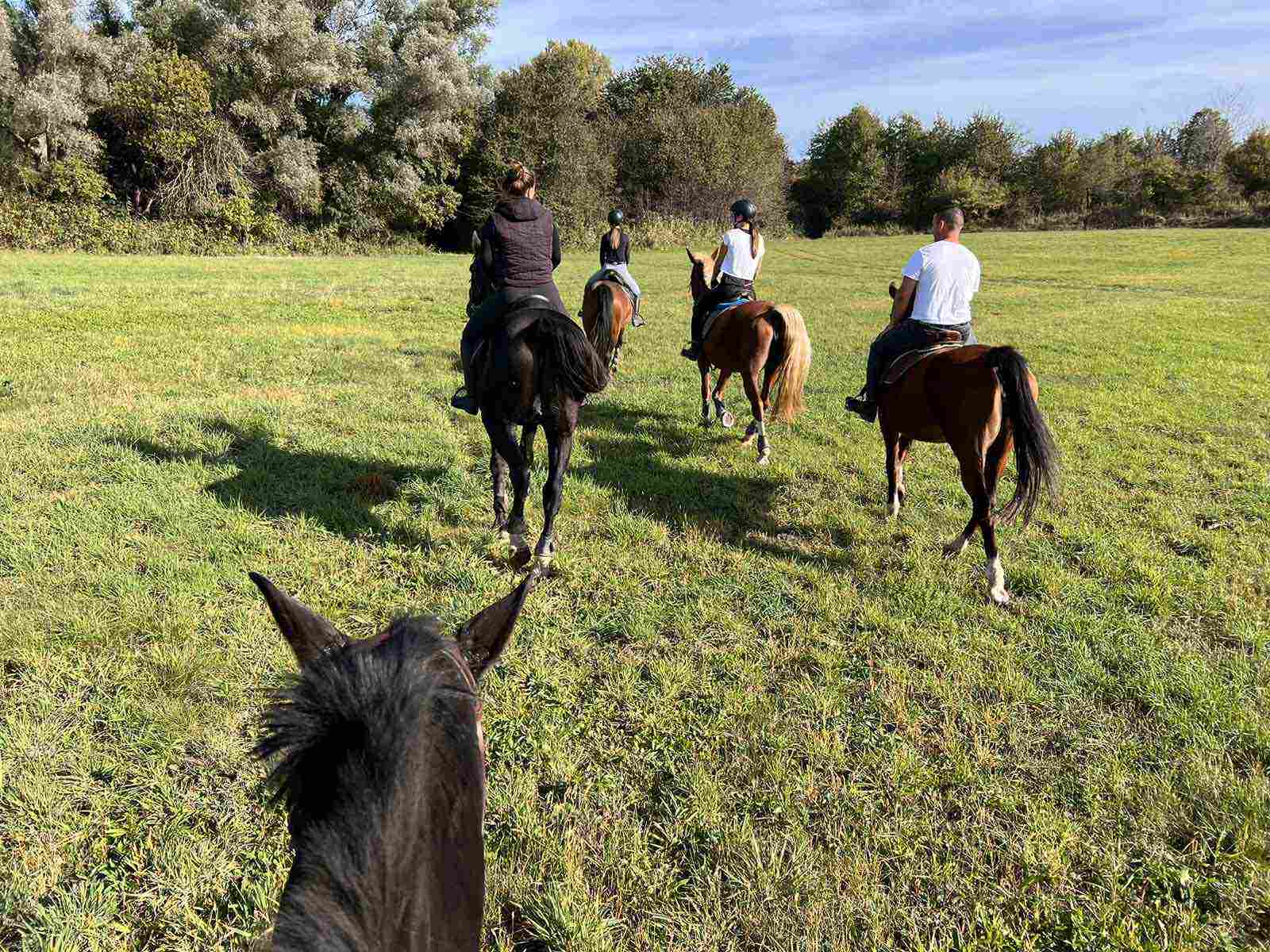 Lovas túrák wagner lovas turak (9)